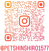 インスタグラム